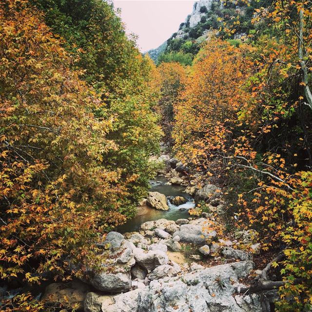  nature river mountains green autumn Lebanon...