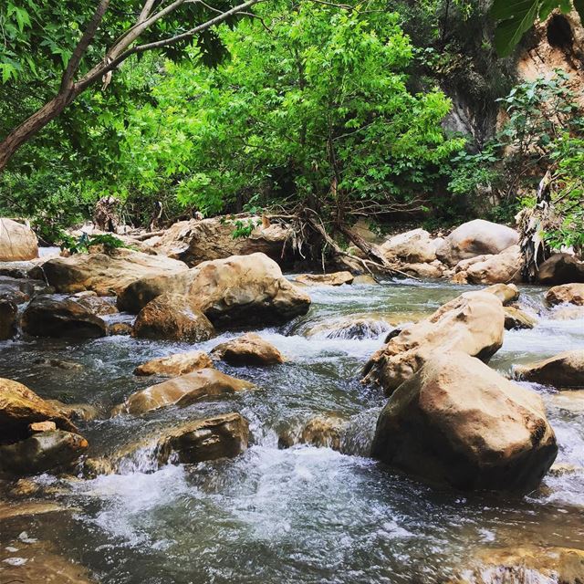  nature  river  waterfall  green  trees  water  rocks  outing  hiking ... (Deir Hamatoura - Kousba)