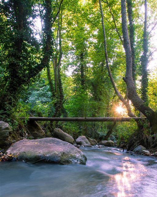 Nature's aura 🌿.... nature naturephotography landscape... (Bcharreh, Liban-Nord, Lebanon)