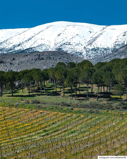 Nature's beauty 🏞....... landscapephotography naturephotography... (West Bekaa)