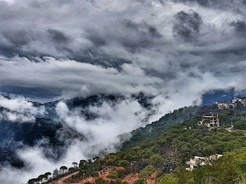 Nature's finest  nature  naturephotography  natgeo  naturelovers ... (Ouyoun Broumana)