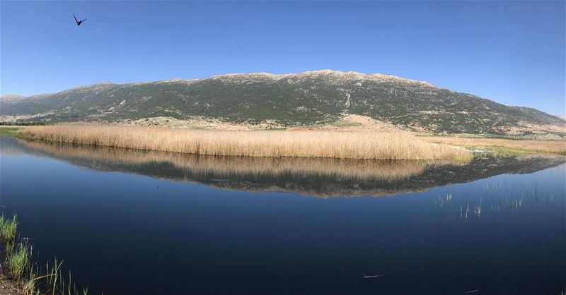 Nature’s healing energy ‼️.................. lebanon ... (West Bekaa)