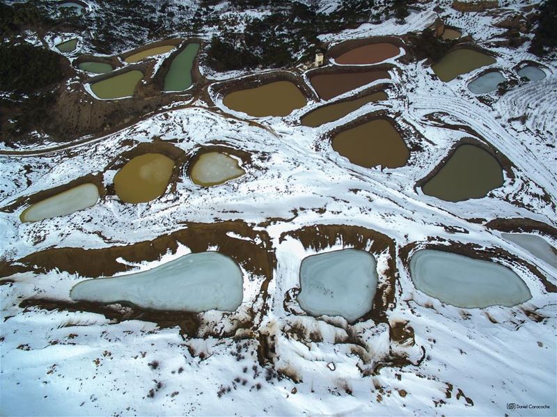 Nature's Palette  felougha  ig_lebanon  ptk_lebanon  lebanontraveler ...