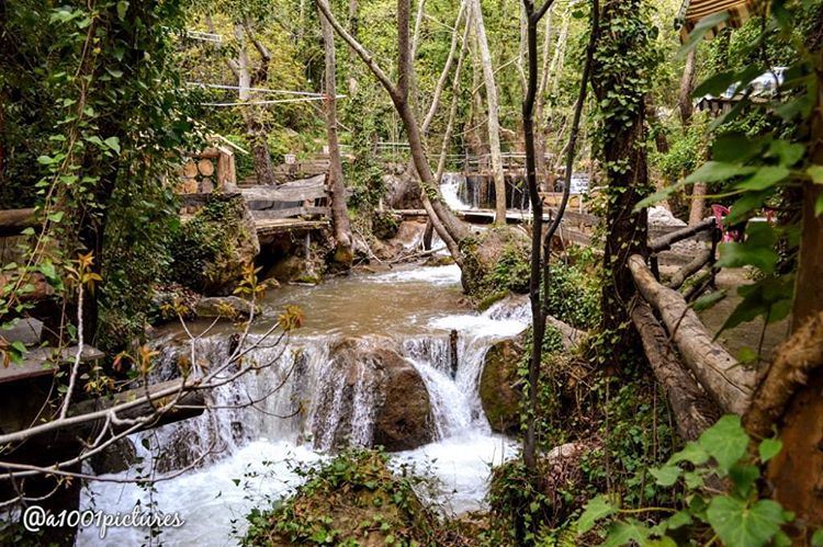 Nature's peace will flow into you as sunshine flows into trees. nature ... (Tannurin At Tahta, Liban-Nord, Lebanon)