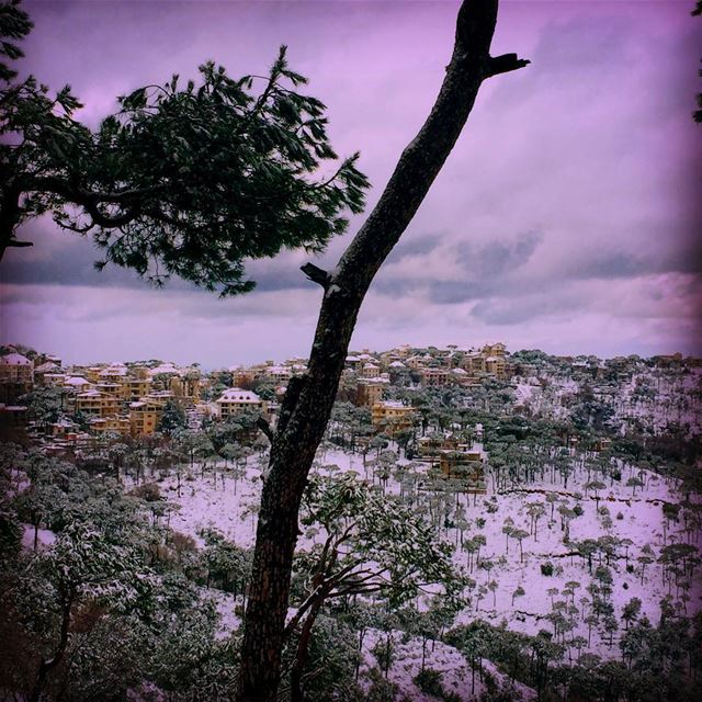 Nature's point of view  view over the  village  tree  nature ...