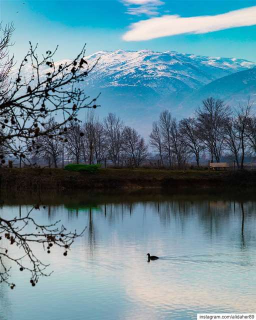 Nature's reflection! 💙....... landscapephotography... (Deïr Taanâyel, Béqaa, Lebanon)