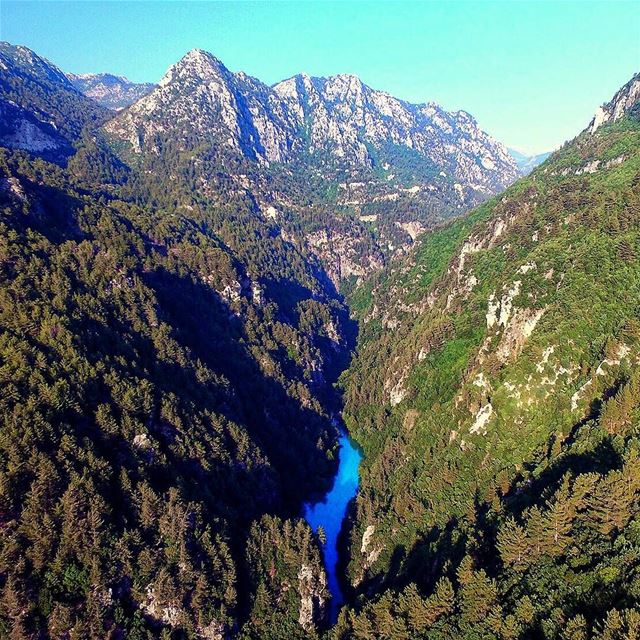 Nature’s smile.📍Chouwen, Jbeil District, Lebanon..━ ━ ━ ━ ━ ━ ━ ━ ━ ━... (Chouène, Mont-Liban, Lebanon)