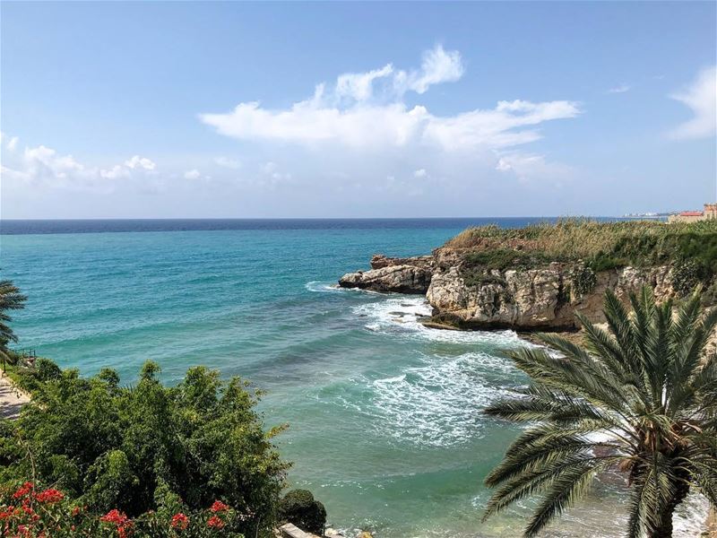  nature  sky  sun  summer  beach  beautiful  pretty  blue  flowers  tree ... (Halat, Mont-Liban, Lebanon)