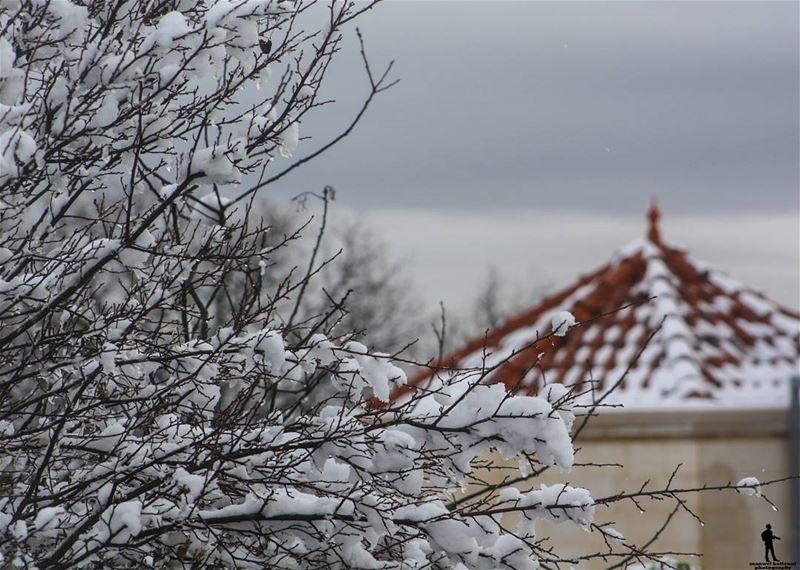  nature snow chouf jbaa lebanon lebanonbyalocal  ptk_lebanon...