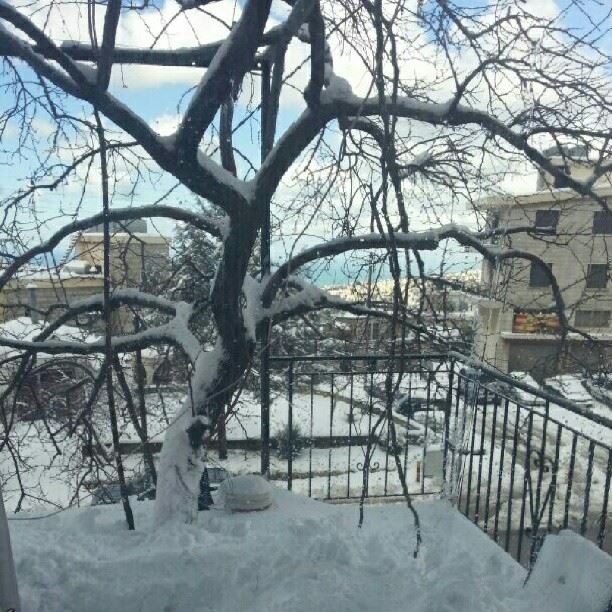 nature snow