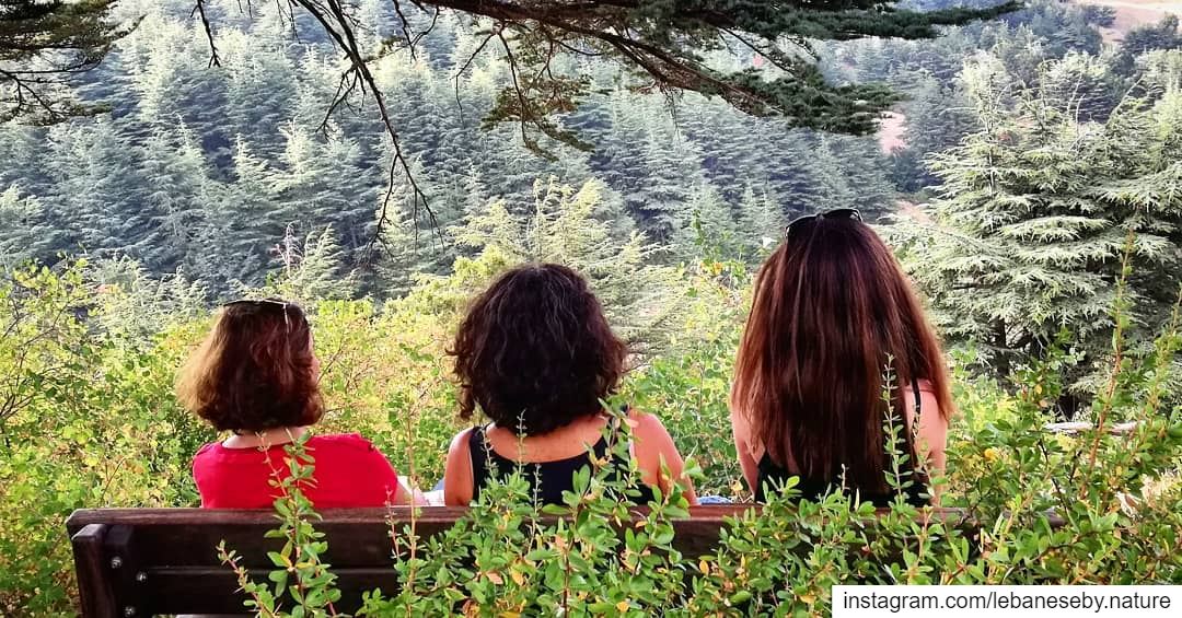  Nature  Therapy.. barouk  baroukcedars  forest  cedars  girls ... (Arz el Bâroûk)