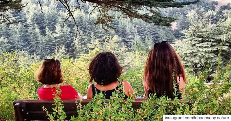  Nature  Therapy.. barouk  baroukcedars  forest  cedars  girls ... (Arz el Bâroûk)