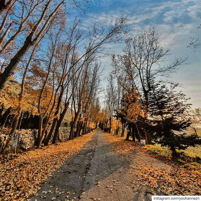 Nature therapy 🧡 lebanon  nature  fall  fallvibes  lebanon🇱🇧 ... (El Laklouk, Mont-Liban, Lebanon)