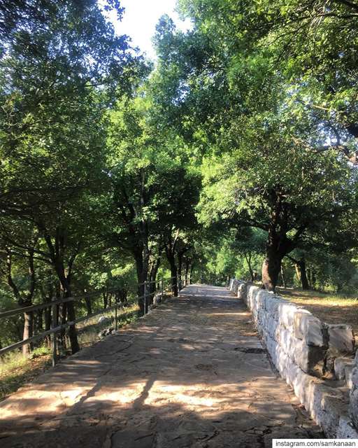 ... nature  trees  outdoors  road  path   serenity  calm  peaceful ... (Annaya Ermitage - محبسة عنّايا)