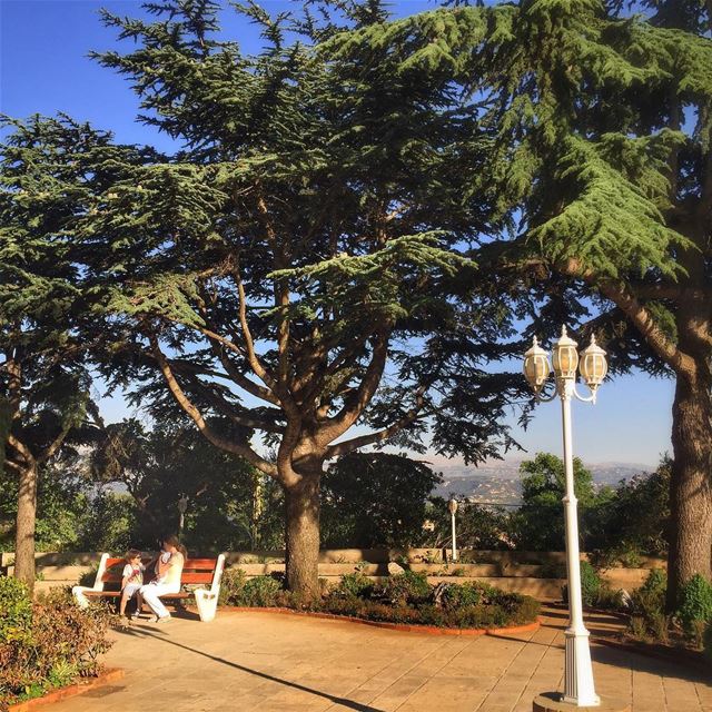  Nature  Trees @vitalina.a  LiveLoveLebanon  wearelebanon  lebanonbyalocal... (Mar Chayia)
