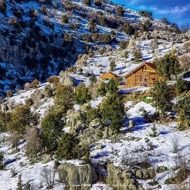 Nature White Dress._ Tannourine  Lebanon  snow  nature  landscape ... (Arz Tannoûrîne)