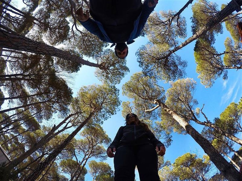 Nature will always find a way to make you feel small🌳🌳Photo Credits: @ra
