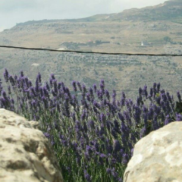 nature