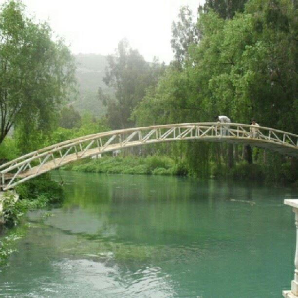 nature