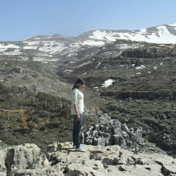 nature