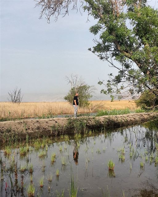 😍😍🌲🗻 nature_beauty  lebanon  livelovebekaa  ammiq  lake  wetland ...