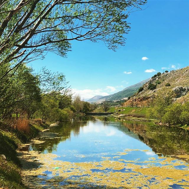  nature_prefection  natutelovers  ammiq  bekaa  lebanon🇱🇧 ... (`Ammiq, Béqaa, Lebanon)