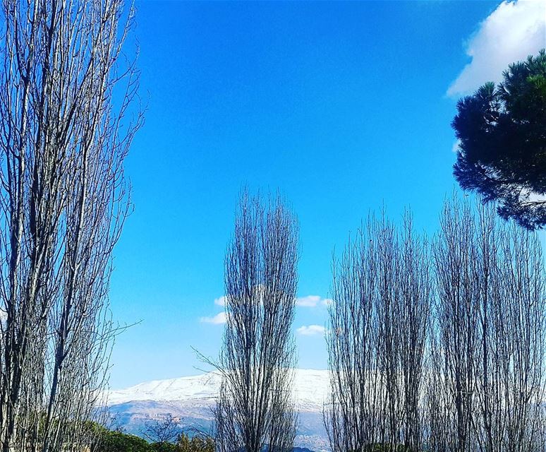  naturebeauty sky trees tree_magic landscape naturelovers... (Mount Sannine)