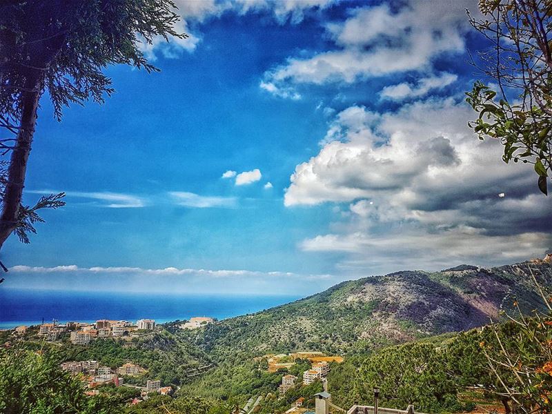  naturecolors 🌳 trees  livelovelebanon  super_lebanon  ptk_lebanon ... (Hawady Restaurant)