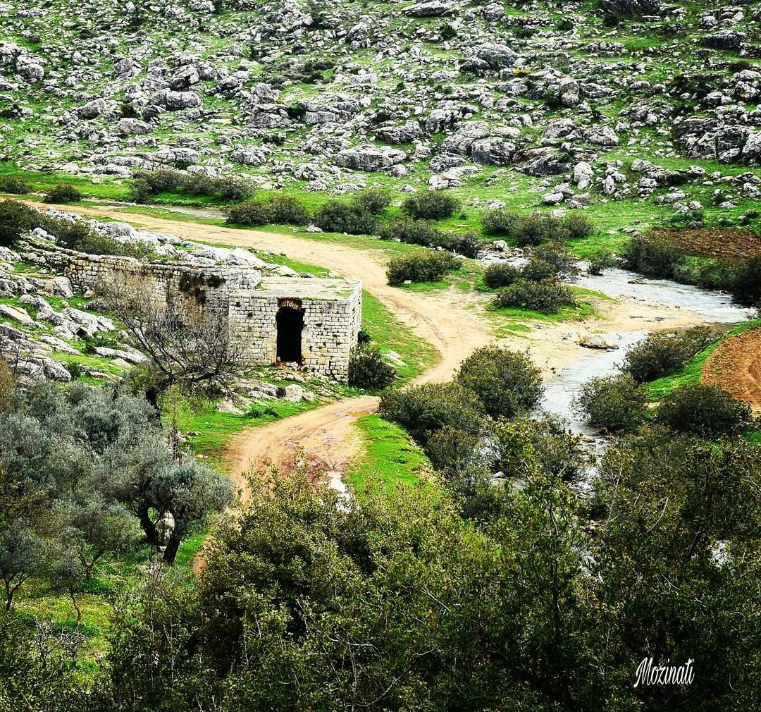  naturelove naturephotography naturelovers super_lebanon  photography... (Hoûmîne El Faouqa, Al Janub, Lebanon)