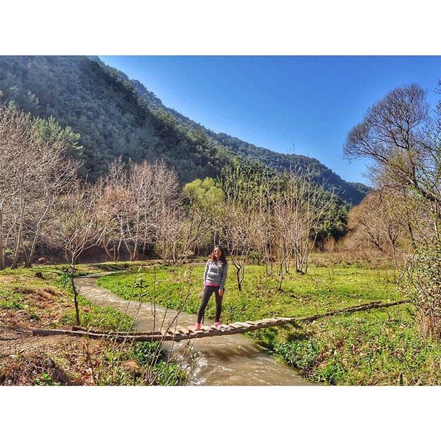  naturelovers 🍀🍁 livelovelebanon  Lebanon  explore  explorelebanon ... (عيون السمك)