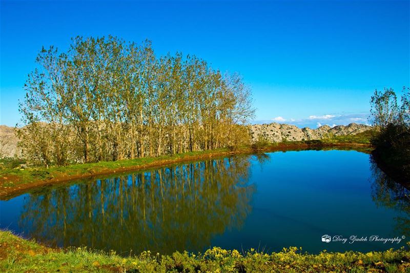  naturelovers  nature_perfection  discoverlebanon  inthe961  insta_lebanon...