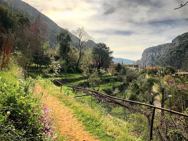  natureoftheplanet1  lebanoninapicture  yourlifeoutdoors ... (Chouène, Mont-Liban, Lebanon)