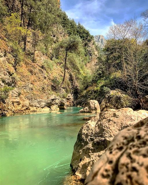  natureoftheplanet1  lebanoninapicture  yourlifeoutdoors ... (Chouène, Mont-Liban, Lebanon)