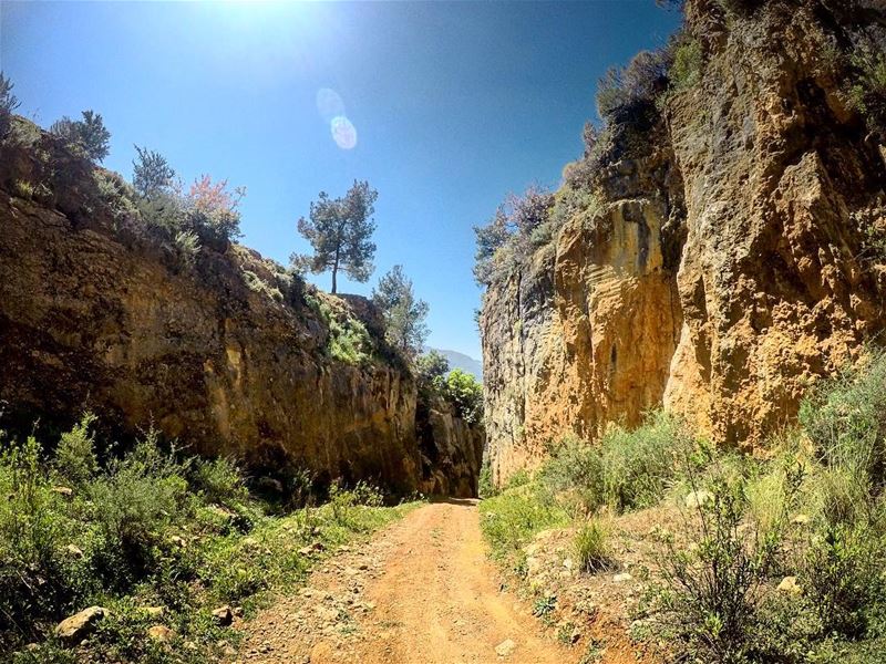  natureoftheplanet1  lebanoninapicture  yourlifeoutdoors ... (Kafr Mattá, Mont-Liban, Lebanon)