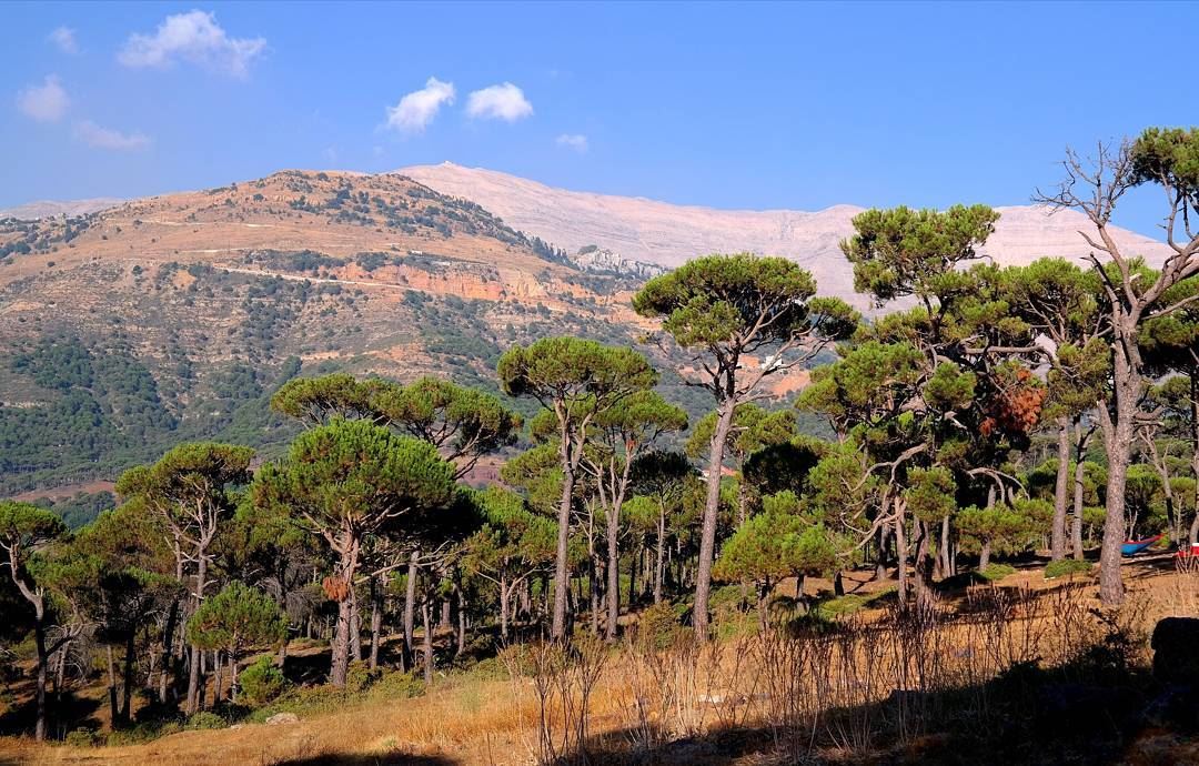  naturephotography  baskinta  bestofleb  bestoflebanon  lebanon_hdr ... (Baskinta, Lebanon)