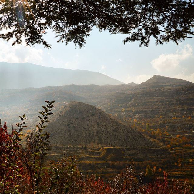 🇱🇧🇱🇧🇱🇧 naturephotography  naturelovers  autumn  colorful ... (Bekaa Kafra)