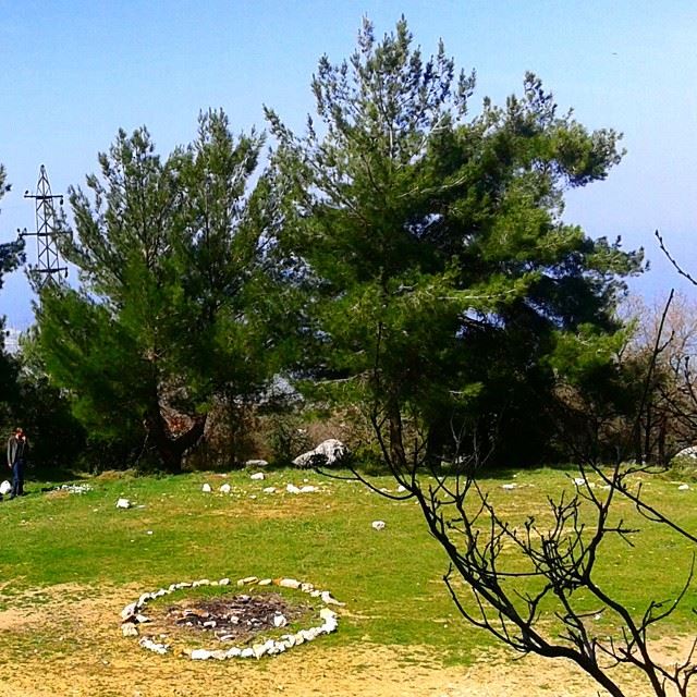 naturepicnicing picnicday picnic treesforest