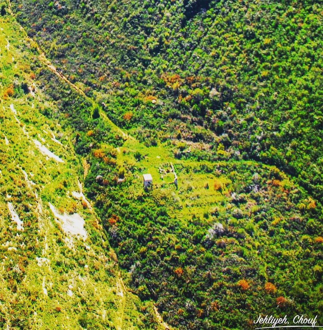  natureshots  naturephotography  nature  natureporn by bilal kerbaj ... (Jâhlîyé, Mont-Liban, Lebanon)