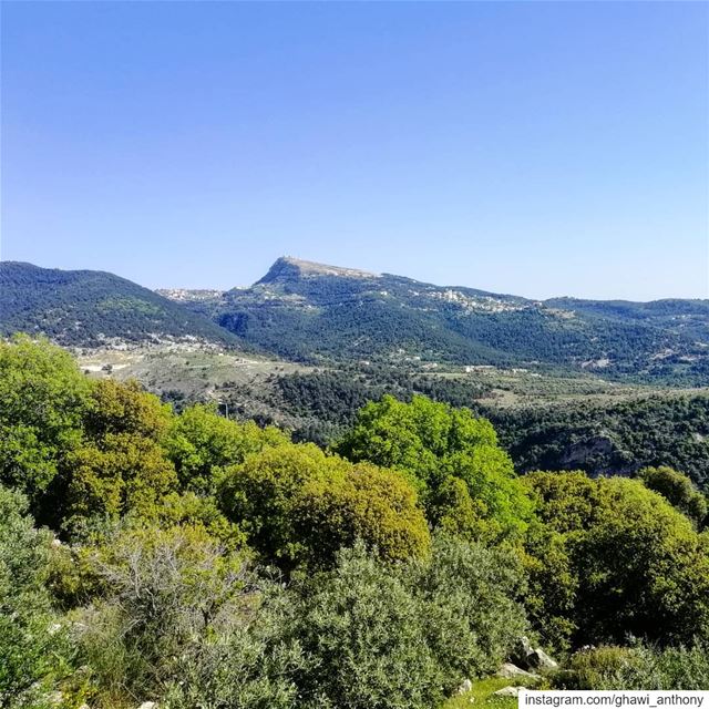 Need for a green view💚⛰️Have a great weekend..... (North Governorate)