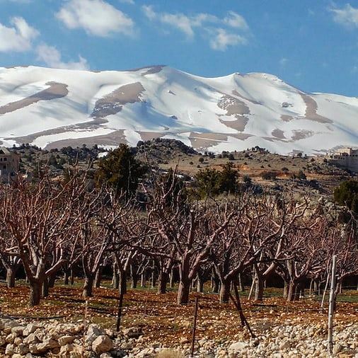 Need to come back when the apple trees are in blossom. Fun day trip with... (Beqaa Governorate)