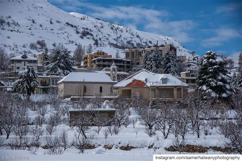 Neighbours of the white...from the heart of  kfardebian  faraya  mzaar ...