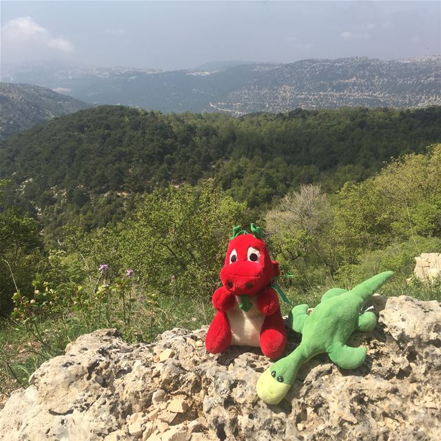 Ness & Griff hiking in the Ehden Natural Reserve!They thought it is the... (Ehden, Lebanon)