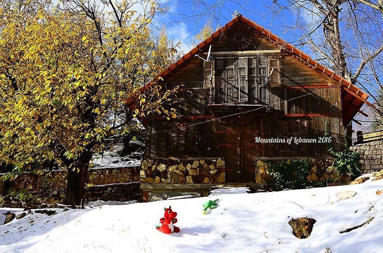 Ness & Griff playing on the Snow in front of The enchanted wood log cabin ( (Mayrouba)