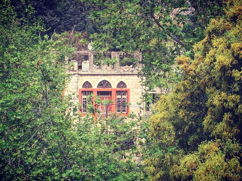 🌿🌿Nested on the riverside 🌿🌿  insta_lebanon  ig_lebanon  lebanon_hdr ... (Nahr al-Kalb)