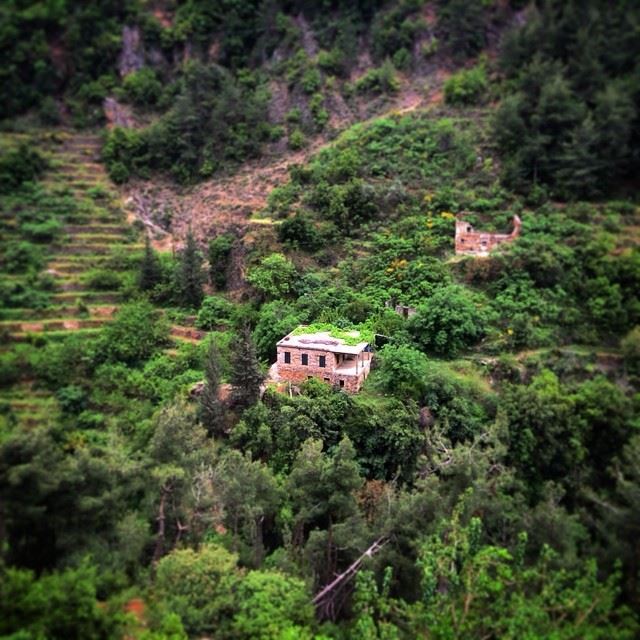 Nestled  green  lebanese  landscapes  wadi  qannoubine  beautiful  lebanon...