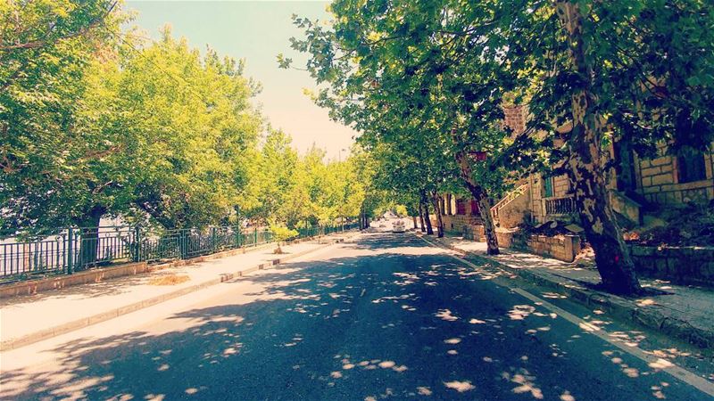 💫 Never cut a tree down in the wintertime. Never make a negative... (Sawfar, Mont-Liban, Lebanon)