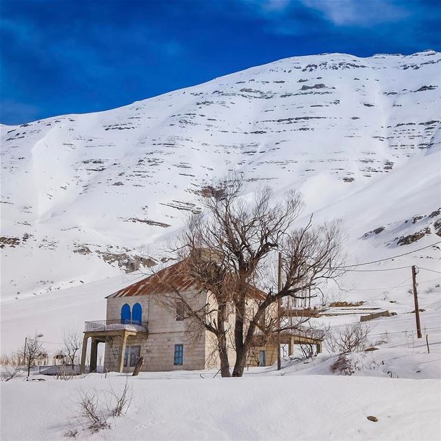 Never ending winter❄️.. lebanon  skitouring   instagood  webstapick ... (Mount Sannine)