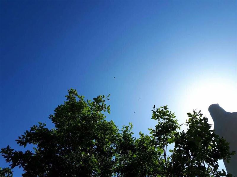 Never get bored of blue sky. JabalMoussa  instamountain  instamoments ...