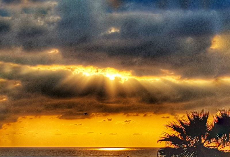 Never go too long without watching a sunset😎😎😎 nature fromwhereistand...