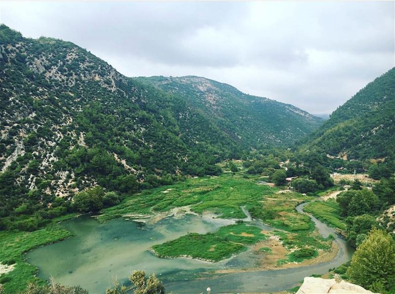Never had enough of discovering this tiny but beautiful country 🇱🇧! Here... (3youn el Samak)